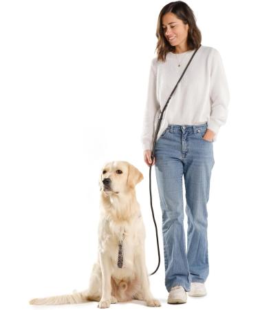 Hands-Free Dog Leash - 2m Adjustable Belly Belt 3-in-1 Running & Training Leash for Large & Small Dogs - Rope Leash in Black - Buy Online on GoSupps.com
