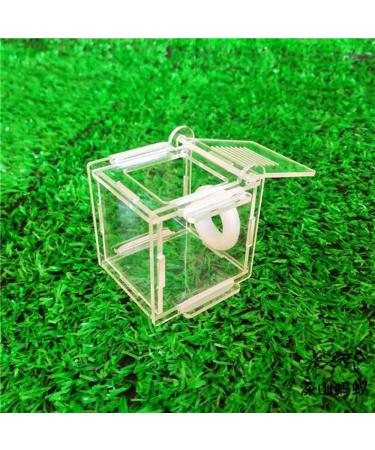 ACSUZ Single Test Tube Nest Acrylic Ant Nest Nest Concrete Ant Nest Mini Ant Nest Ant Farm Ant Breeding - Buy Online on GoSupps.com