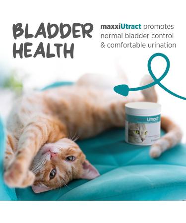 maxxipaws maxxiUtract Urinary and Bladder Supplement for Cats to help Prevent UTI Recurrence and Support Optimum Urinary Tract Health Cranberry Powder 60g 60 g (Pack of 1) - Buy Online on GoSupps.com