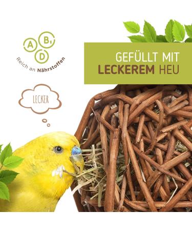 Vogelgaleria 2 Set Business Hay Pasture Ball 10cm - Best Budgie Toy for Climbing & Nibbling | Handmade Bird Accessories - Buy Online on GoSupps.com