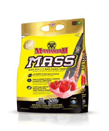 Inter-Active Nutrition Mammoth Mass Supplement 2.27kg Strawberry