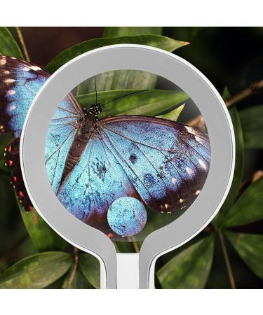 Magnifying Glass Wide Horizontal Lens(5X 10XMagnification)- W/Large Viewing Area Ideal for Reading Small Prints Small Gift - Buy Online on GoSupps.com