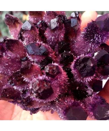 Natural Crystal Rough Natural Purple Phantom Quartz Amethyst Gift (Size : 600g) (Size : 600g) - Buy Online on GoSupps.com