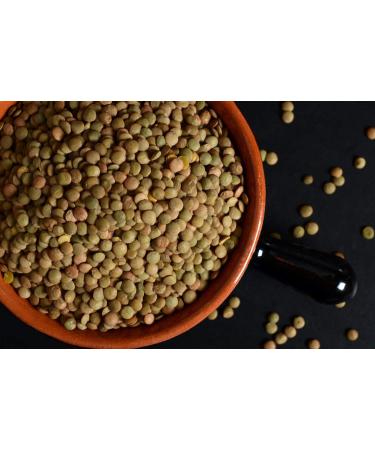 Thames Organic 1kg Green Lentils: Raw Vegan High Fibre & Protein - Certified Organic GMO-Free - Ideal for Meal Prep - Buy Online on GoSupps.com