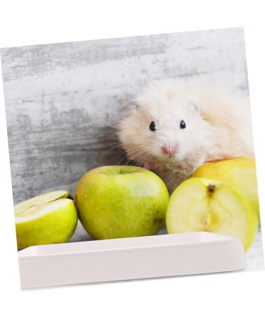 BESPORTBLE Box Hamster Toilet Dog Potty Tray Pet Toilet Potty Trainer Pet Grate Rabbit Toilet Pp White 24.5X19.5X3CM White - Buy Online on GoSupps.com