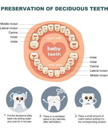 Amosfun Wooden Baby Tooth Fairy Box - Cat Pattern Tooth Saver Storage for Kids Keepsake Memories - Buy Online on GoSupps.com