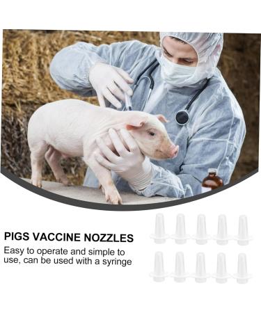 Toddmomy 30 Pcs Accessories Pig Nozzle for Pigs Piglet 4x2.5cmx3pcs Whitex3pcs - Buy Online on GoSupps.com
