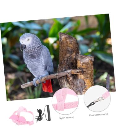 OATIPHO 1 Set Bird Leash Suspend Parrot Flying Harness Bird Flying Bird Harness and Leash Strap Lizard 12X6X1.3CM Pink - Buy Online on GoSupps.com