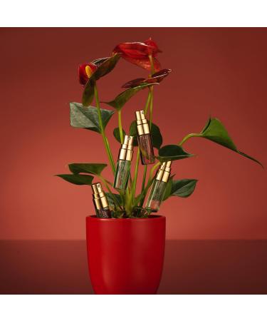 Valentines Gifts for Women Perfume Sampler for Women 12pc Perfumes for Women and Men Fragrance Sets Floral Perfume Samplers for Travel - Birthday Gifts for Women Gifts for Mom from Daughter - Buy Online on GoSupps.com