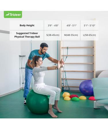 Trideer Exercise Ball for Physical Therapy and Fitness - Green, L (23-26 inches) - Swiss Ball for Rehab, Core Strength, Yoga, Balance, and Flexibility - Buy Online on GoSupps.com