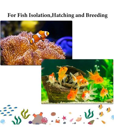 2 Pack Fish Breeding Box - Nylon Fry Hatchery Mesh with Suction Cups - Small & Big Sizes - Buy Online on GoSupps.com