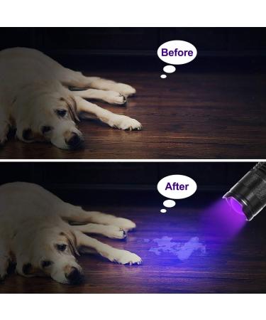 Fulighture UV Torch 2 Pack Pets Black Light 3 Modes Lights 395nm Dogs/Cats Urine Detector Ultraviolet Flashlight Find Dry Stains on Carpets/Rugs/Floor Operated by AA Batteries (Not Included) - Buy Online on GoSupps.com