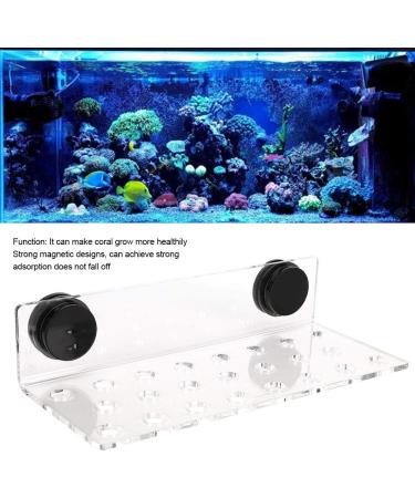 Zerodis Aquarium Coral Rack Bracket - Acrylic Transparent 23 Hole Frag Rack with Strong Suction for Coral Accessories - Buy Online on GoSupps.com