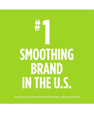 Garnier Fructis Sleek and Shine Moroccan Oil Treatment 3.75 Fl Oz - For Frizzy and Dry Hair - Buy Online on GoSupps.com