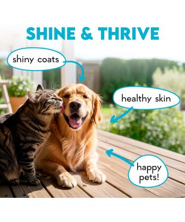 Omega 3 Chews for Dogs - 150Pcs - Dog Skin and Coat Supplement - Rich in EPA & DHA Fatty Acids - Itching Skin Relief Chews - Reduce Hair Shedding - Made with Fish Oil - Chicken - Buy Online on GoSupps.com