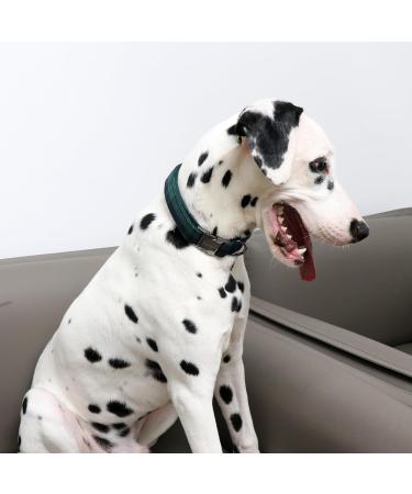 Unique Adjustable Green Checkered Dog Collar & Leash for Small to XL Dogs & Cats - Shop Internationally - Buy Online on GoSupps.com