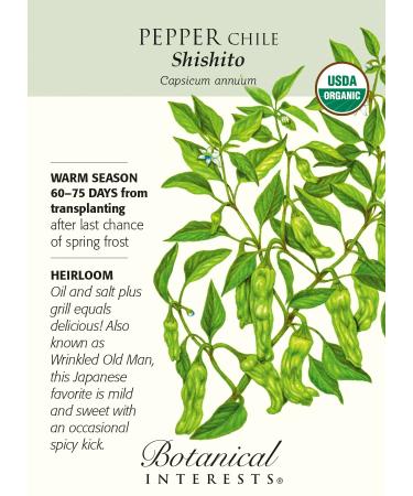 Organic Shishito Chile Pepper - 30 Semi