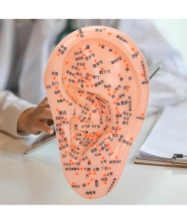 Buy Anggrek Ear Acupuncture Model - Effective Ear Massage & Acupuncture Points Kit for Home Use - International Shipping Available - Buy Online on GoSupps.com