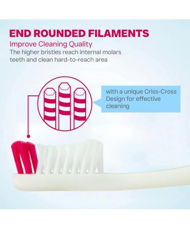 Falcon Toothbrush with Curved Filaments - Deep Reach Medium Bristles | Family Care Pack of 8 - 4 Colors Available - Buy Online on GoSupps.com