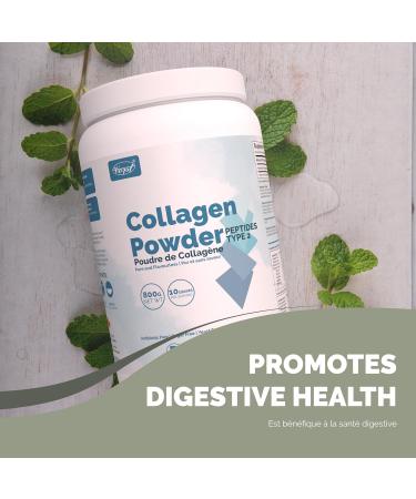 VORST Collagen Powder 800G | Grass Fed Bovine | Peptides Type 2 Supplement | Halal | Alternative to Marine Collagen - Buy Online on GoSupps.com