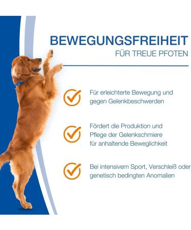 Nutrilabs Canicox HD Journey Tablets - Joint Support for Dogs with Glucosamine Chondroitin & Stomach Herbs - 100 Chewable Tablets - Buy Online on GoSupps.com