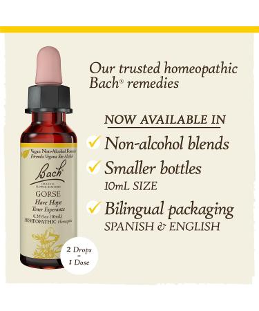 Bach Original Flower Remedies Gorse for Hope 10mL - Non-Alcohol Formula | Natural Homeopathic Essence for Wellness and Stress Relief - Vegan - Buy Online on GoSupps.com