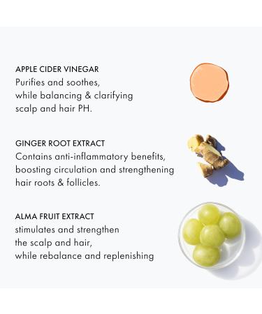 FEKKAI Apple Cider Detox RINSE - Deep Cleansing & Conditioning for Hair & Scalp - Conditioner - All Hair Types - 250ml Bottle - Buy Online on GoSupps.com