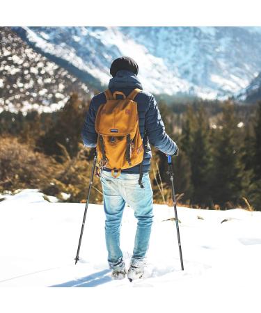Anykuu Foldable Hiking Poles 110-130cm | Ultralight Shockproof Nordic Walking & Trekking Poles - Blue - Buy Online on GoSupps.com