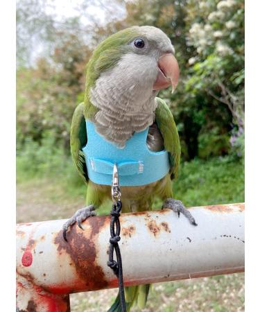 Bird Flight Harness Vest for Parakeets, Cockatiels, Conures, Budgies | Parrot Flight Suit with Leash, Rope, and Handle | Outdoor Training Clothes for Bird Flying Activities | Anti Bite | Medium Blue - Buy Online on GoSupps.com