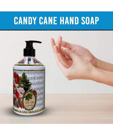 Home & Body Holiday Greetings Collection Hand Soap - 4 Bottles 85 fl oz - Festive Seasonal Scented Soap Set - Buy Online on GoSupps.com