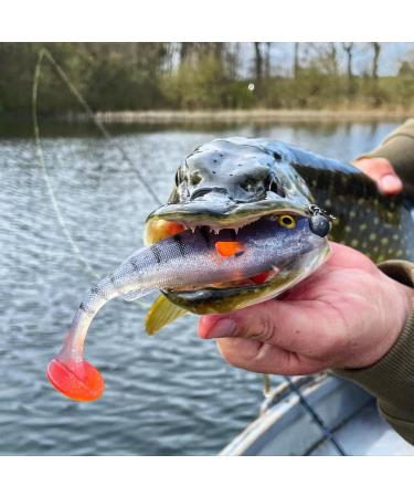 Buy LMAB K fi Perch Shad | Rubber Fishing Bait for Zander Barsch Hecht | 7-23 cm Sizes Available - International Shipping - Buy Online on GoSupps.com