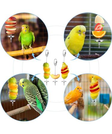 3-Pack Stainless Steel Parrot Spit & Bird Toy Holder for Nymphensittich & Budgies - Feed Hang & Treat Your Pets - Buy Online on GoSupps.com