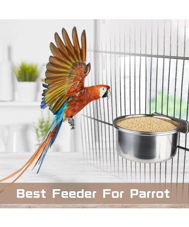 5-Pack Stainless Steel Bird Bowls with Clamp - Food and Water Dishes for Parakeets, Cockatiels, Budgies, Conures, Lovebirds, Macaw - Includes Dispenser Spoon - Buy Online on GoSupps.com