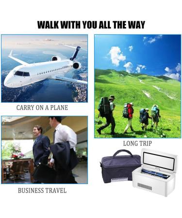Portable Insulin Refrigerated Box Intelligent Operation Insulin Cooler Portable Refrigerator Drug Reefer 2-8 for Travel Car Refrigerator Portable Car Refrigeration Case 2xBattery - Buy Online on GoSupps.com