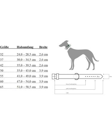 Shop Hunter Basic Dog Collar - Coated Gap Leather Weather-Resistant 65L Stone/Black | Durable & Stylish Pet Accessories - Buy Online on GoSupps.com