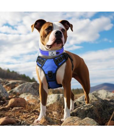 Joytale Softly Padded Neoprene Dog Collar for Large Dogs - Reflective Nylon Wide Collar in Royal Blue Size L (1 Pack) - Durable & Comfortable - Buy Online on GoSupps.com