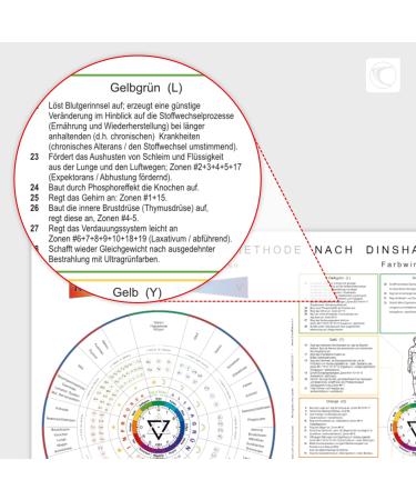 Buy SpektroChrom Teaching Chart A2 - German - Perfect for Classroom Learning | International Shipping Available - Buy Online on GoSupps.com