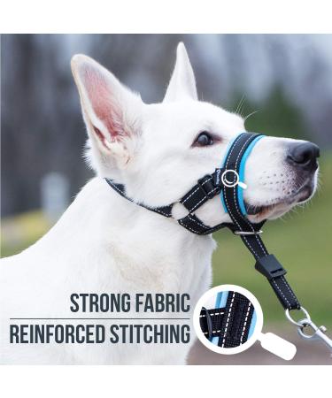 Goodboy Dog Halter - Stop Heavy Pulling Padded Leash for All Sizes - Includes Training Instructions - Size 2 Black Nylon Blue Push - Buy Online on GoSupps.com