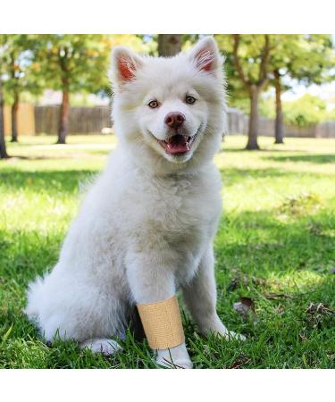 Colorful Medical Self Adhesive Bandage Wrap - 24 Rolls, 2 x 5 Yards, Breathable Cohesive Vet Tape for First Aid Kits, Sports Injuries - 12 Colors - Buy Online on GoSupps.com