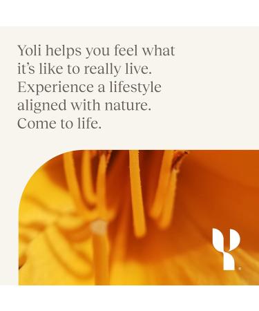 Yoli® Transformation Kit - YES Passion Alkalete Pure Resolve & 28-Day Better Body System | Ship Worldwide - Buy Online on GoSupps.com