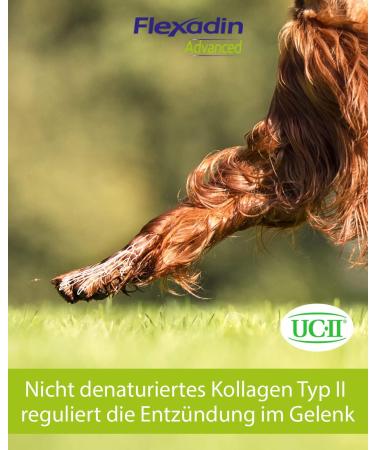 FLEXADIN ADVANCED Dog Joint Health Treats | Undenatured Collagen Type II (UC-II ) & Boswellia | 60 Count - Shop Internationally! - Buy Online on GoSupps.com