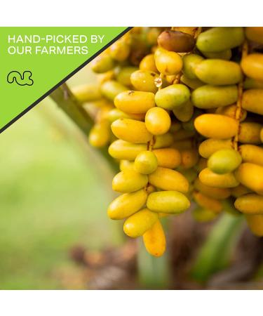 Organic Sun Dried Jumbo Medjool Dates - No Added Sugar (16oz) | Freshly Packed in Resealable Bag | Sweet & Healthy Dehydrated Fruit Snack | Vegan, Kosher Certified - Buy Online on GoSupps.com