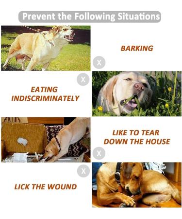 Adjustable Red Dog Muzzle with Velcro Fastener | Breathable Mesh for Safe Barking & Chewing | Buy Internationally - Buy Online on GoSupps.com