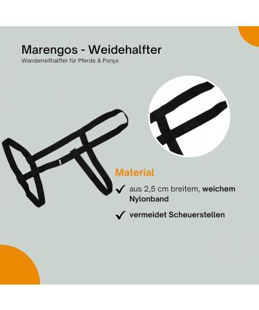 Marengos Weide Halver | Soft Halter for Horses & Ponies | Simple Handlebar for Pasture | Velcro Adjustable | Black Pony Sizes - Buy Online on GoSupps.com