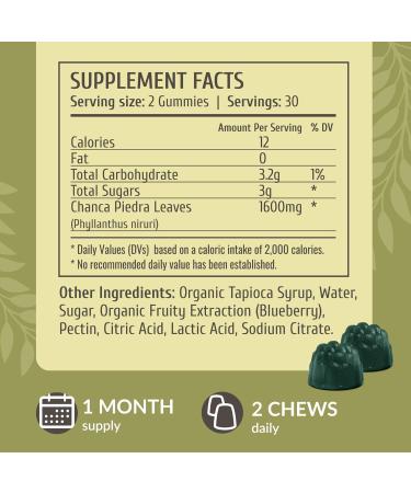 HERBAMAMA Chanca Piedra Stone Breaker Gummies - 1600mg Chanca Piedra for Urinary Tract Cleanse Detox - Vegan Non-GMO Kidney Support Supplement - 60 Pectin-Based Blueberry-Flavored Chews - Buy Online on GoSupps.com