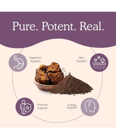 Real Mushrooms Chaga for Humans (120ct) & Turkey Tail for Pets (90ct) - Bundle for Digestive Health and Immunity - Vegan Non-GMO Grain-Free Gluten-Free Mushroom Extract Capsules - Buy Online on GoSupps.com