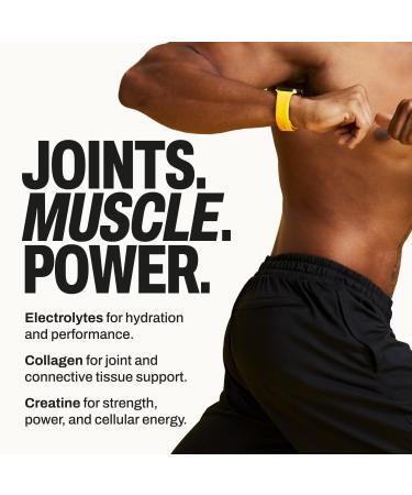 Harlo Electrolytes Powder Sachet Sampler 3-in-1 High Sodium Hydration for Intense Training | with Creatine & Collagen | Zero Sugar | Salty by Design | 4-Flavor Trial (4 Sachets) - Buy Online on GoSupps.com