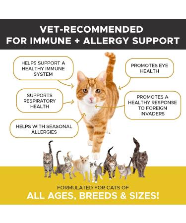PetHonesty Immune Health Lysine Supplement Powder for Cats - Cat Allergy Relief - Omega 3s & L-Lysine - Chicken & Fish Flavor - Buy Online on GoSupps.com
