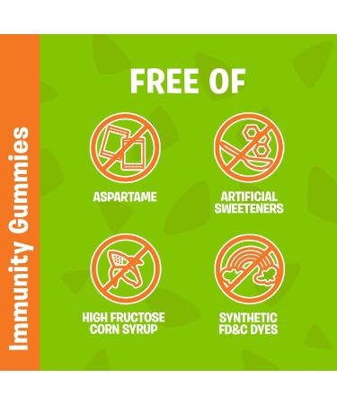 FLINTSTONES Kids Multivitamin Gummies Plus Immunity Support- Multivitamins for Kids Kids Multivitamin Gummy With Zinc and Extra Vitamin C Free of Artificial Sweeteners Free of Aspartame Free of Synthetic FD&C Dyes 60 Gummies - Buy Online on GoSupps.com