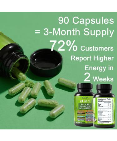 24 in 1 Soursop Graviola Capsules - Herbal Supplement with Shilajit Sea Moss Turmeric Ashwagandha - Vegan Non-GMO 60 Capsules (1) - Buy Online on GoSupps.com